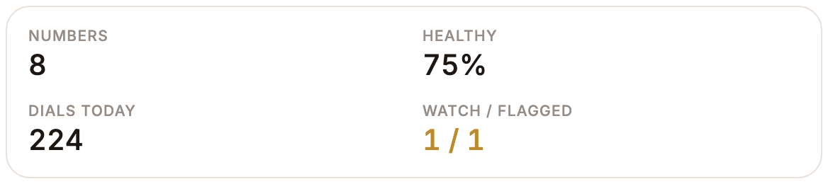 Number pool: eight numbers, 75 percent healthy, 224 dials, one number on watch and one flagged.